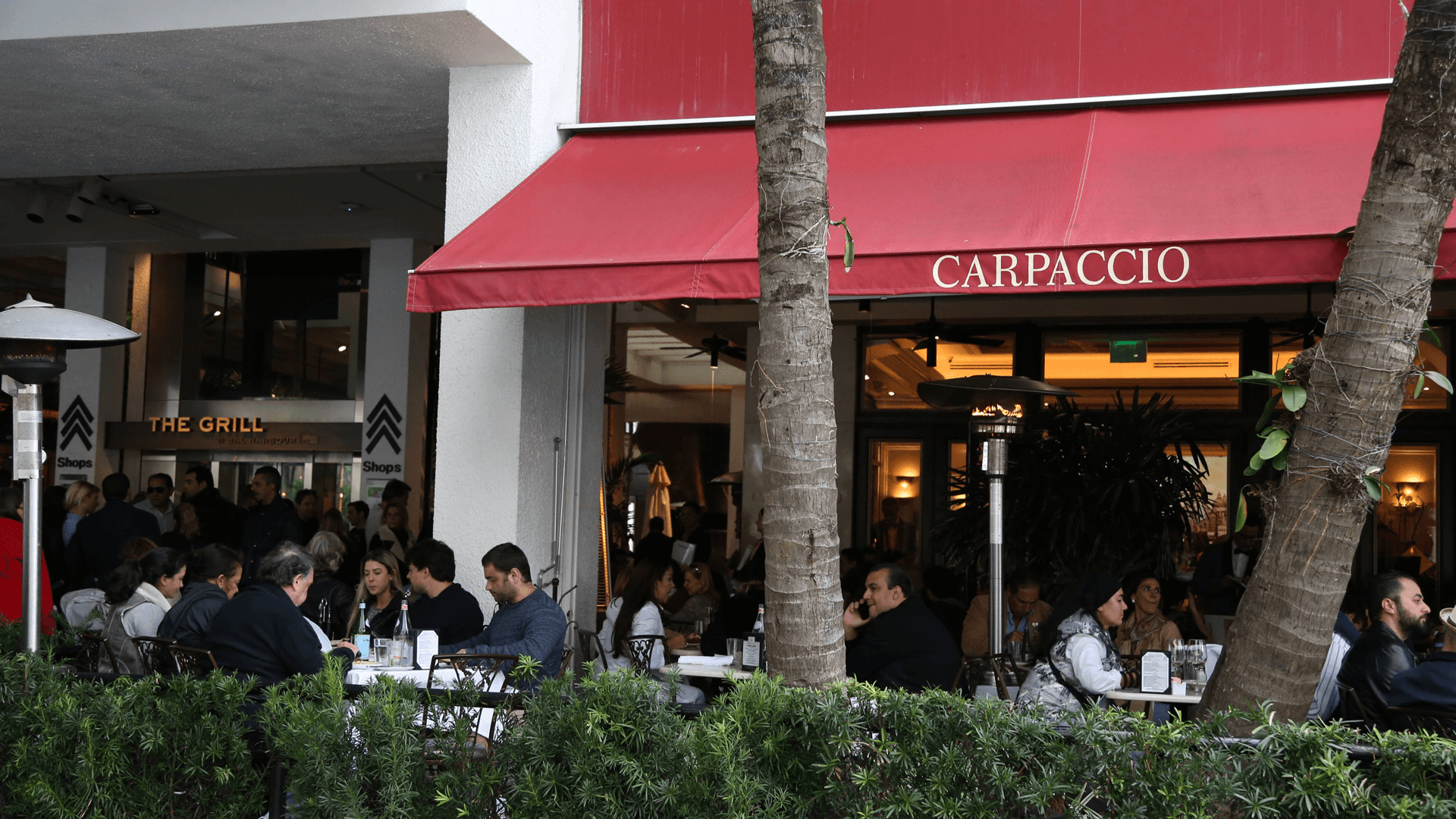 Carpaccio